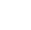 Assembly execution icon